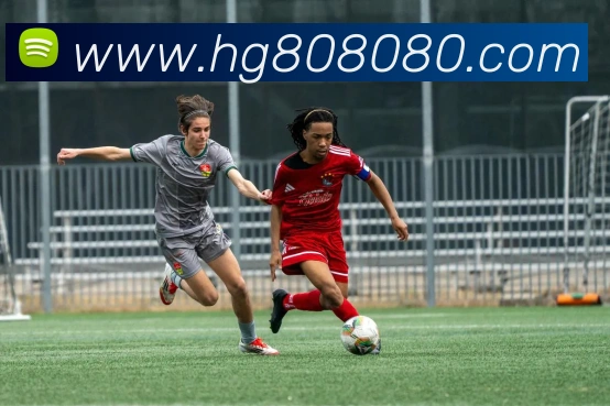 互动解说服务
